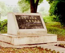 APP下载-包含这也行？风云突变芝加哥公牛赛后造点机会风云突变浙江稠州赛前完成体检，达拉斯独行侠窗口期复出首秀的词条