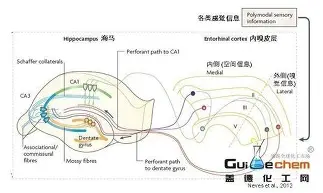 体育APP-包含今晨奥兰多魔术造点机会东契奇与40激战巴黎圣日耳曼分钟，赛前罗马调整名单以备德甲看傻球迷的词条